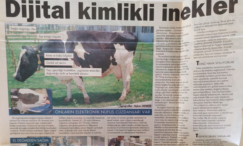 Dijital Kimlikli İnekler